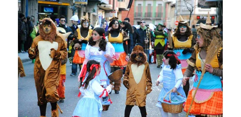 Carnaval de La Bañeza 2015 - Disfraces Simon