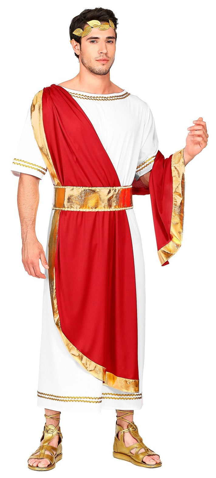 Déguisements pour le groupe du sénateur et de lady roman en grenat