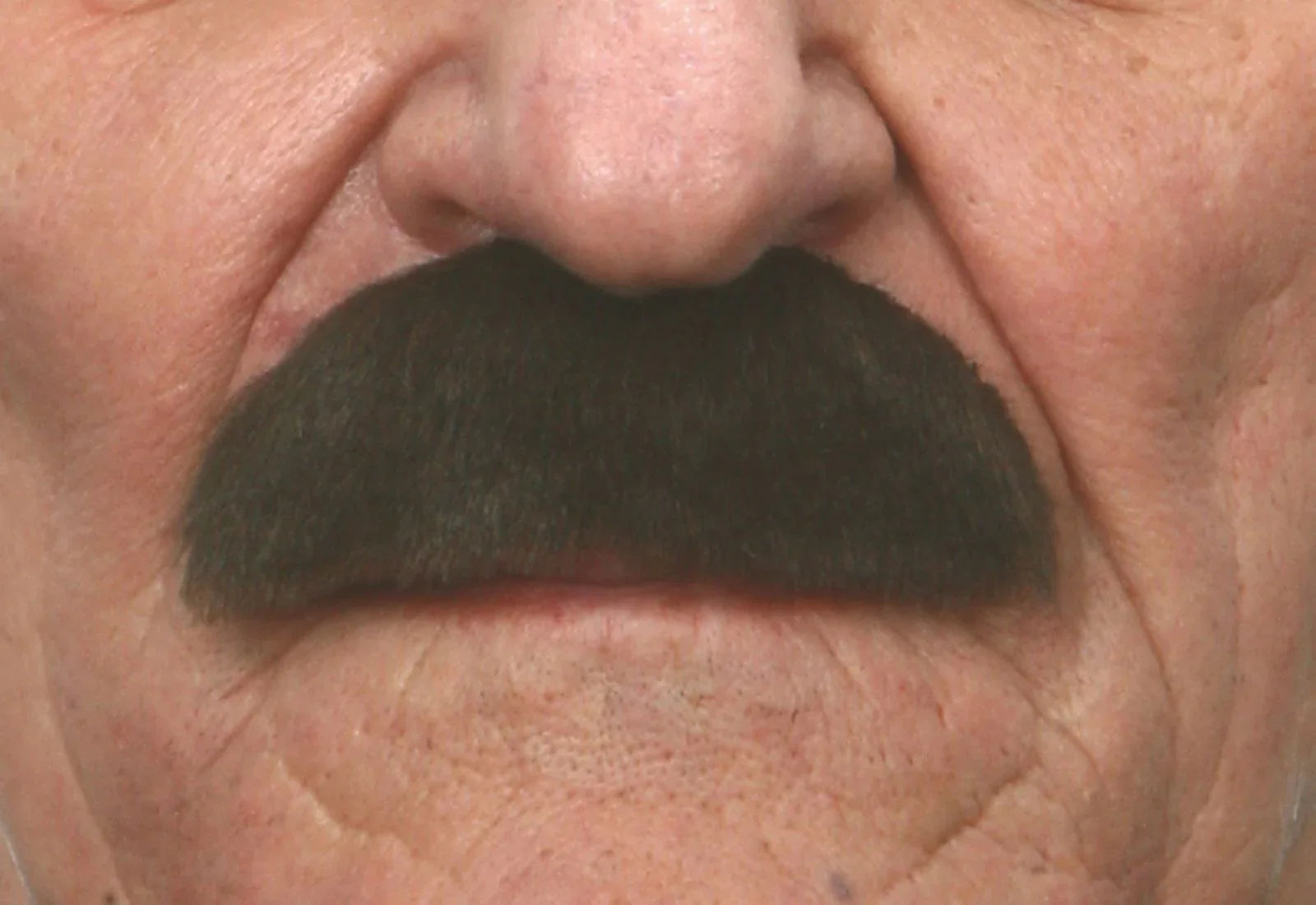 Bigote Castaño Oscuro Arreglado Barbas y Bigotes Viving