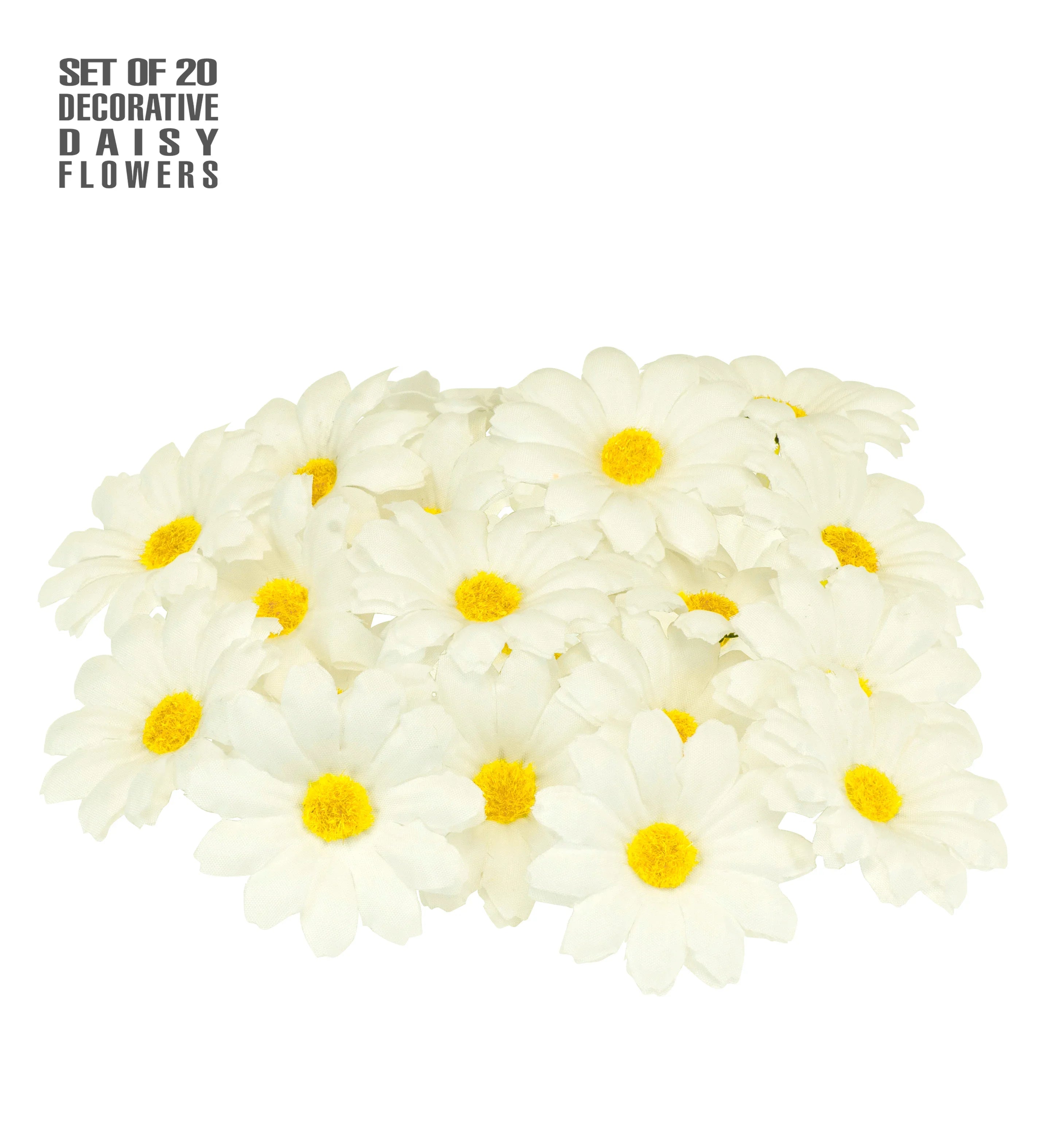 Set de 20 Margaritas para Decoración Flores Widmann