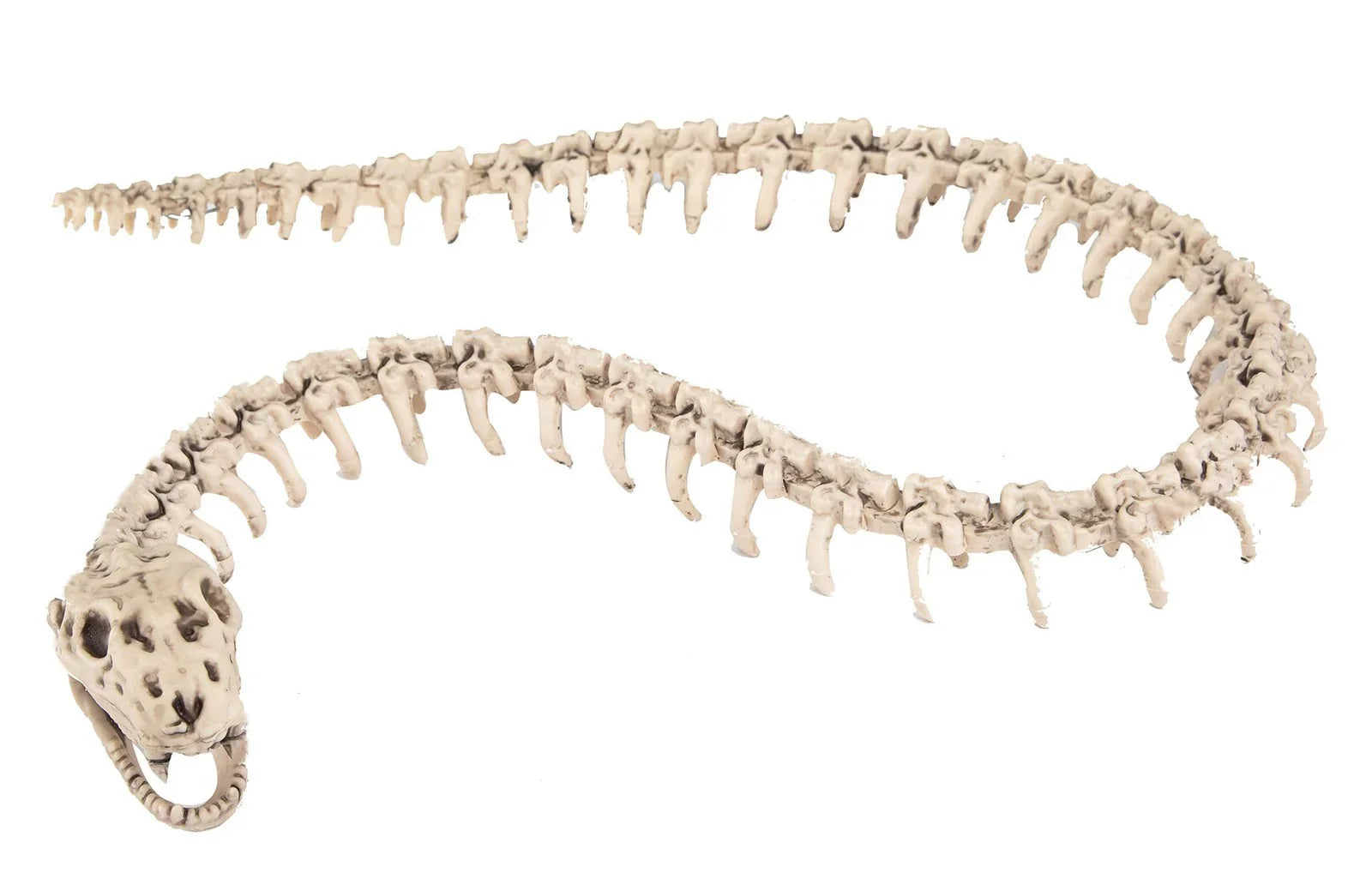 Esqueleto de Serpiente para Decoración de Halloween Decoración Halloween Viving