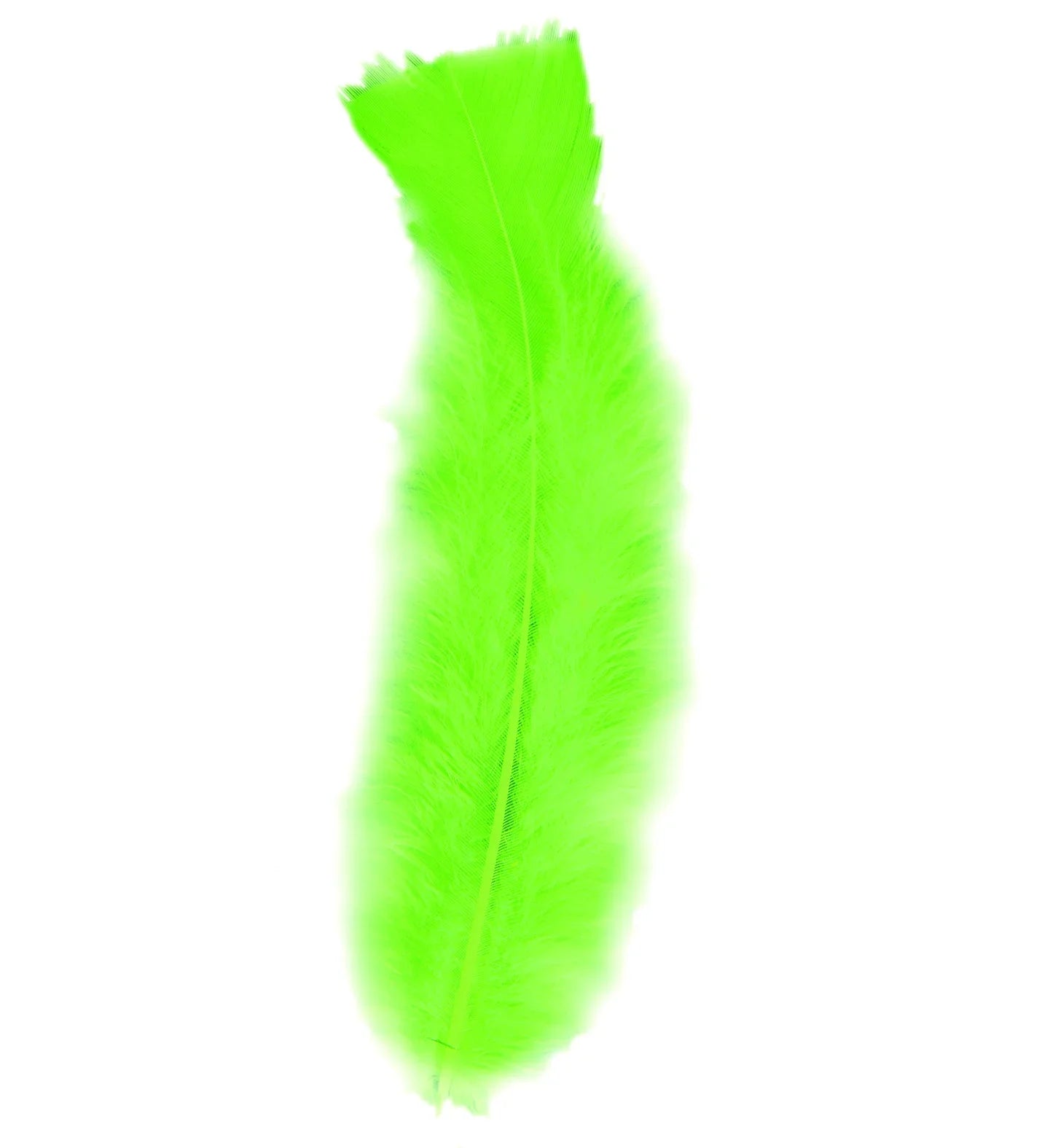 Pack de 50 Plumas de Colores COMPLEMENTOS Widmann Verde