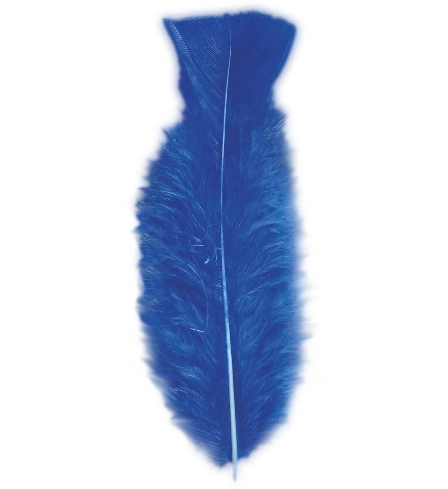 Pack de 50 Plumas de Colores COMPLEMENTOS Widmann Azul