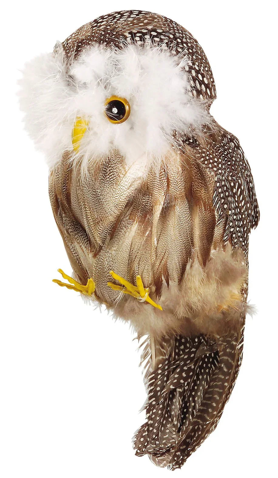 Búho de Mago con Plumas Magos y Hechiceros Widmann