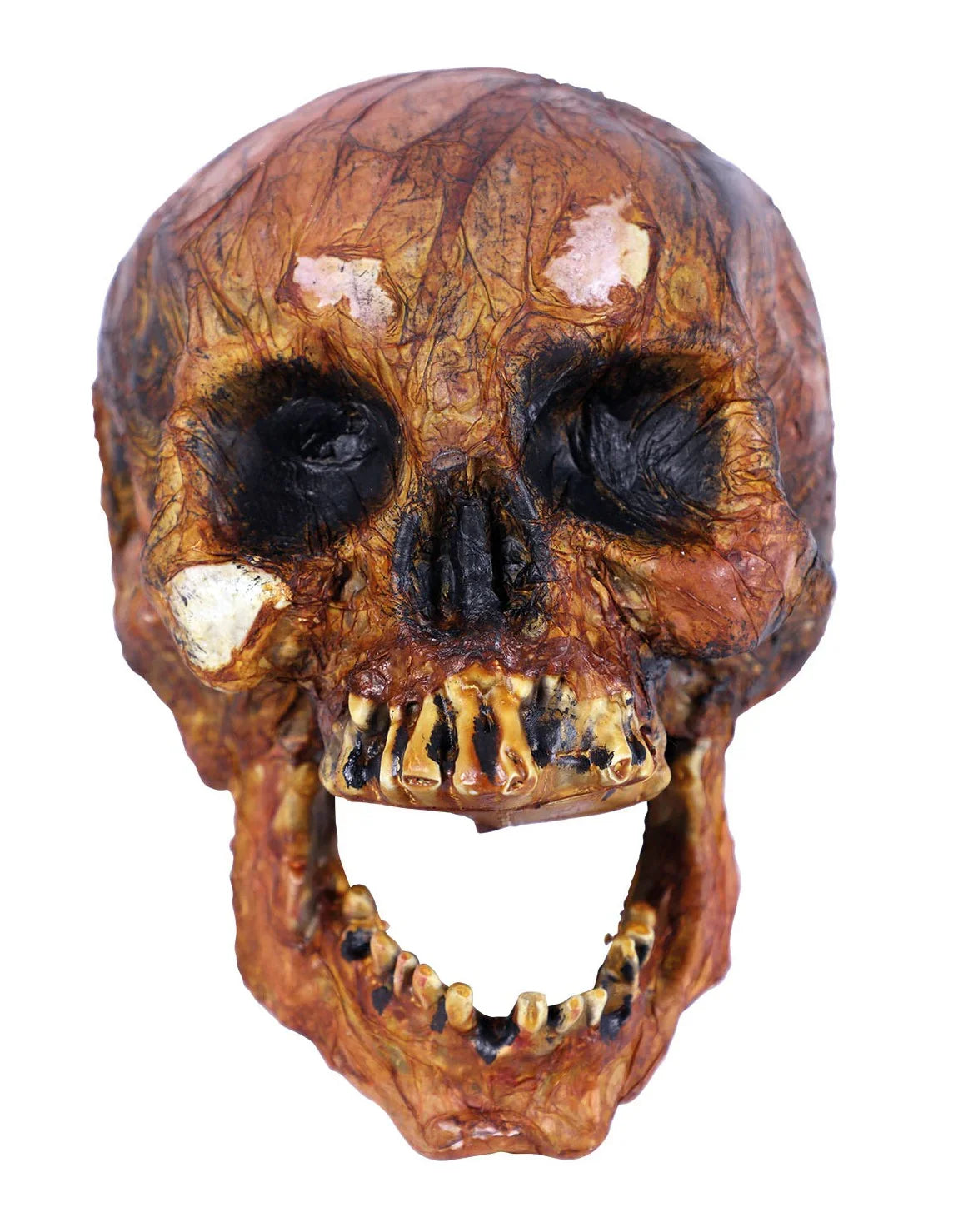 Calavera Envejecida Realista Decoración Halloween EuroCarnavales