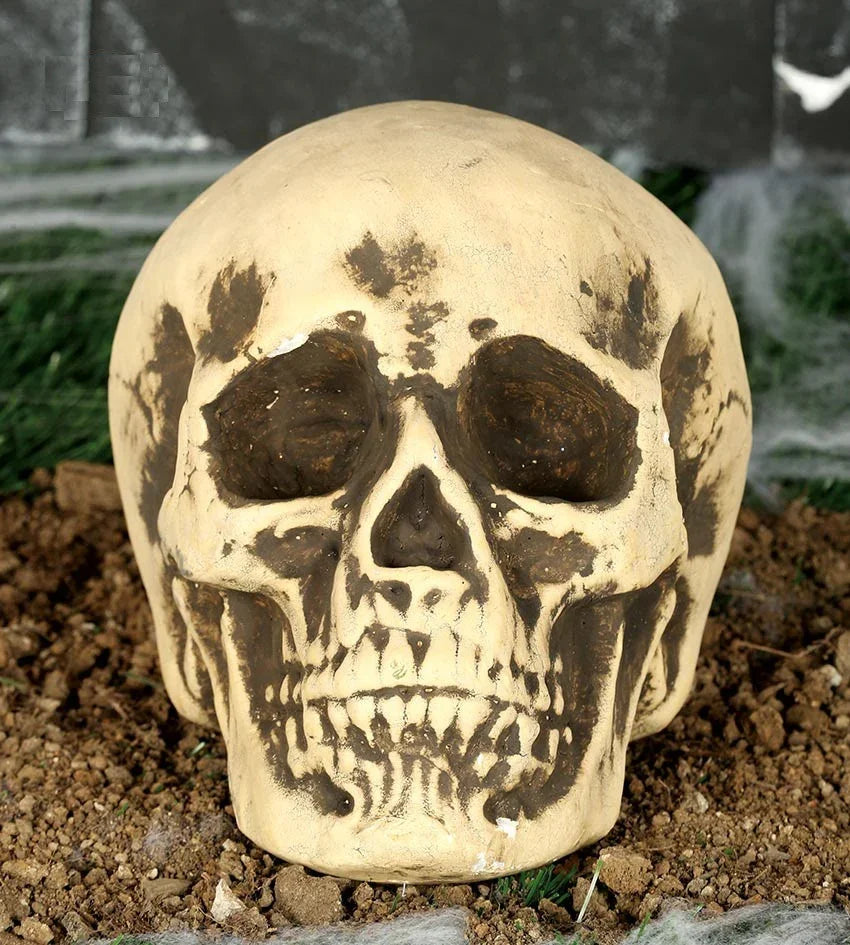 Calavera Realista para Decoración de Halloween Decoración Halloween Guirca