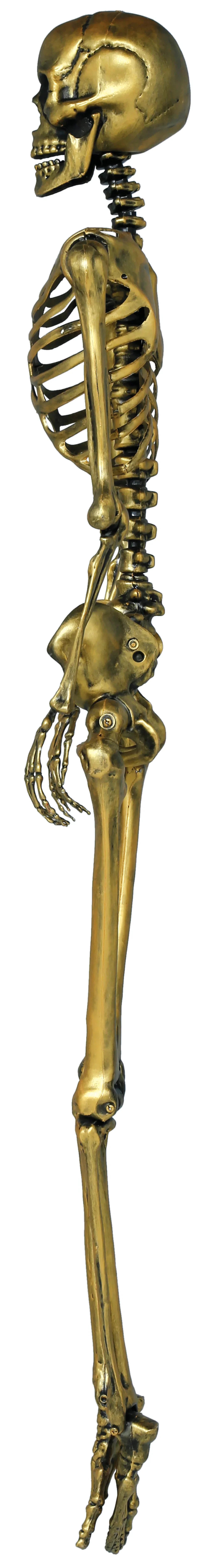 Esqueleto Dorado para Decoración de 160cm Esqueletos Guirca