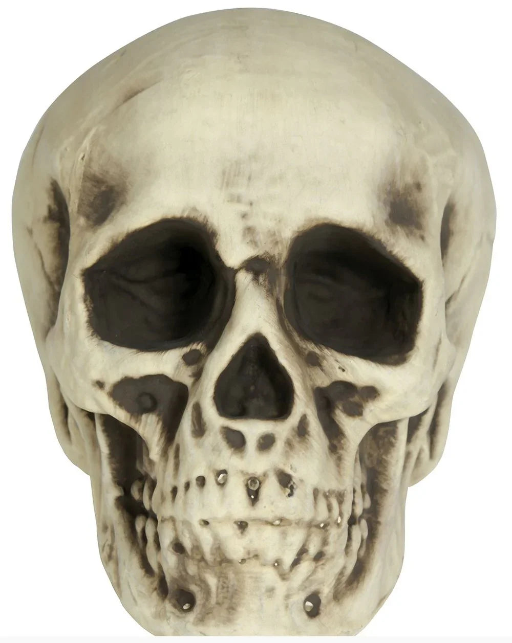 Calavera para Decoración de 20cm Calaveras Guirca