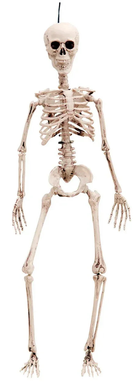 Esqueleto Realista para Decoración de Halloween Esqueletos Viving