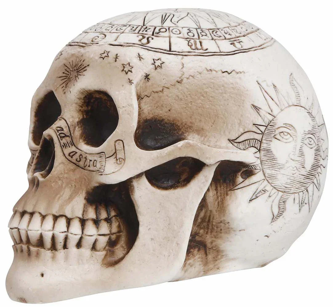 Calavera Espiritismo de Decoración 20cm Calaveras Guirca