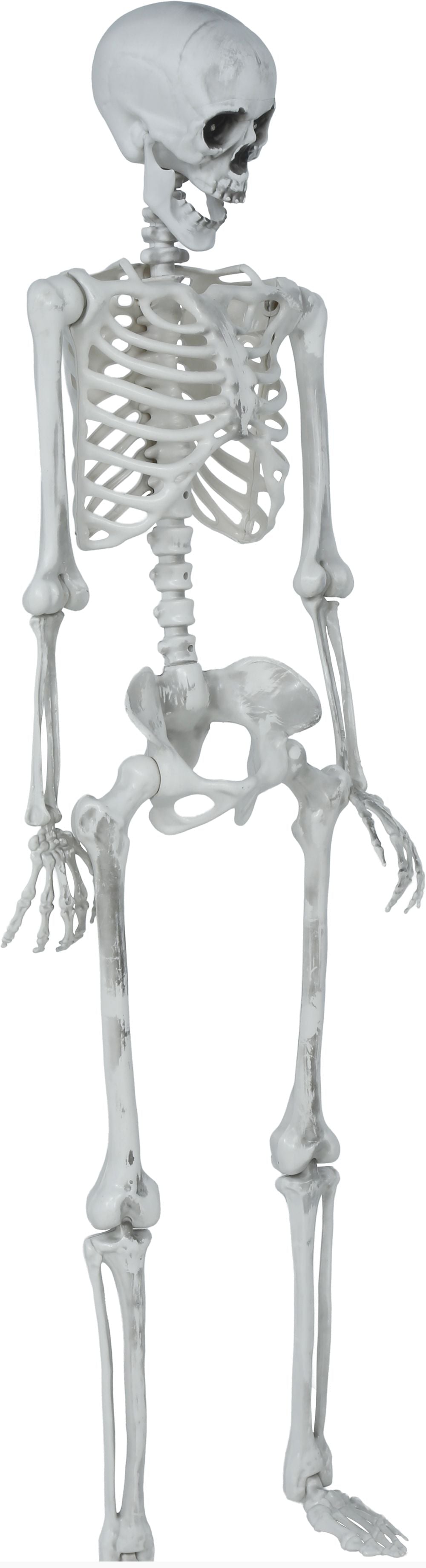 Déguisement squelette articulé décoratif de 145 cm