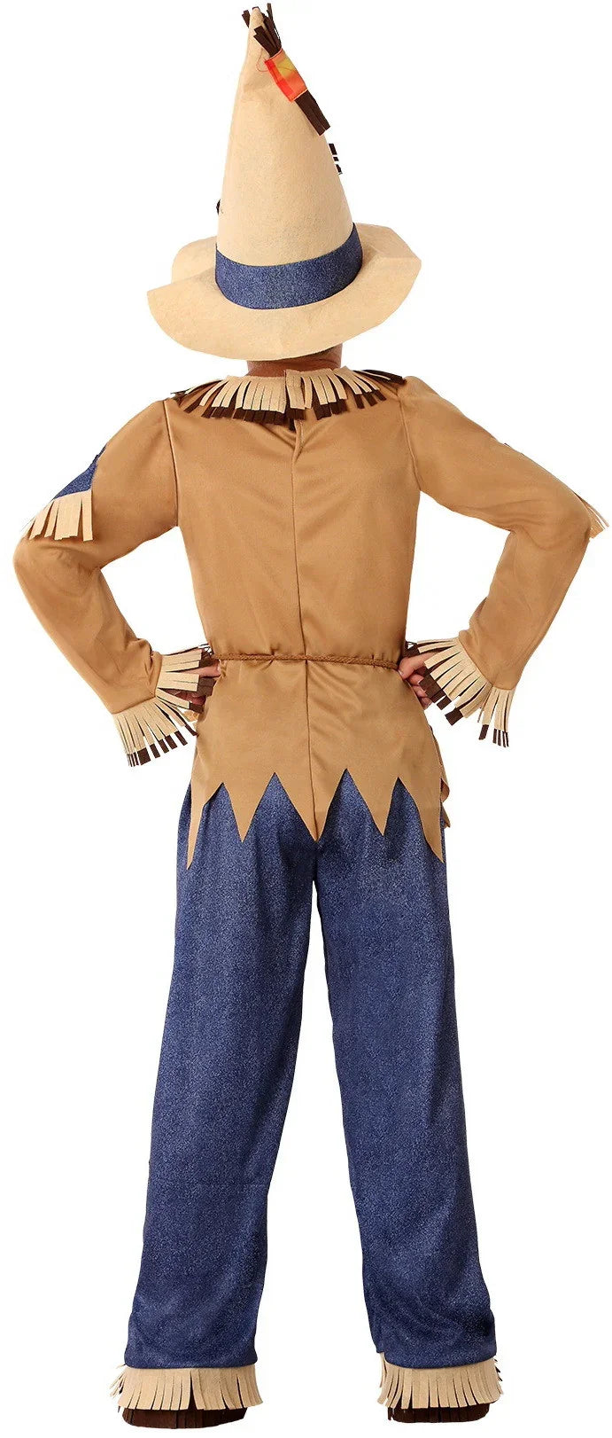 Disfraz de Espantapájaros Divertido para Niño Mago de OZ Atosa