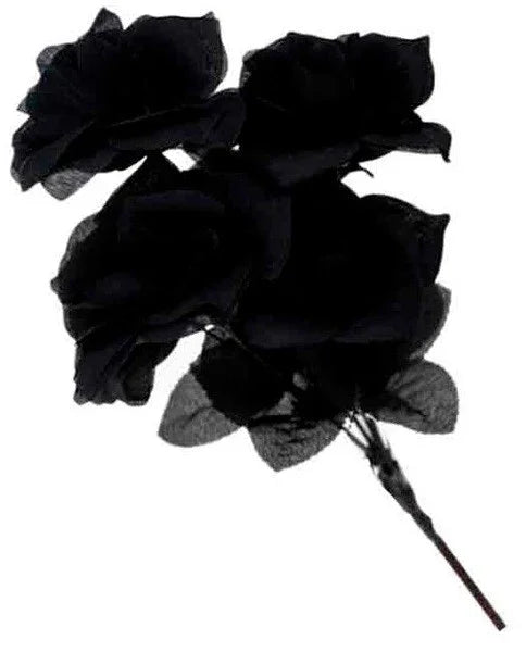 Ramo de Flores Negras Flores Partilandia