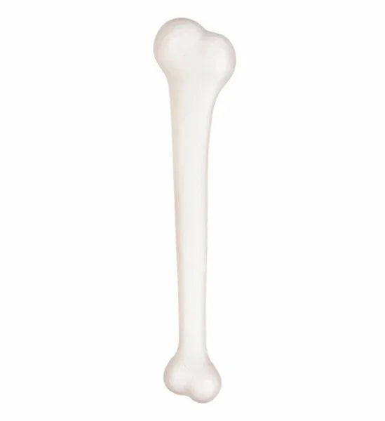 Hueso gigante de troglodita COMPLEMENTOS Widmann