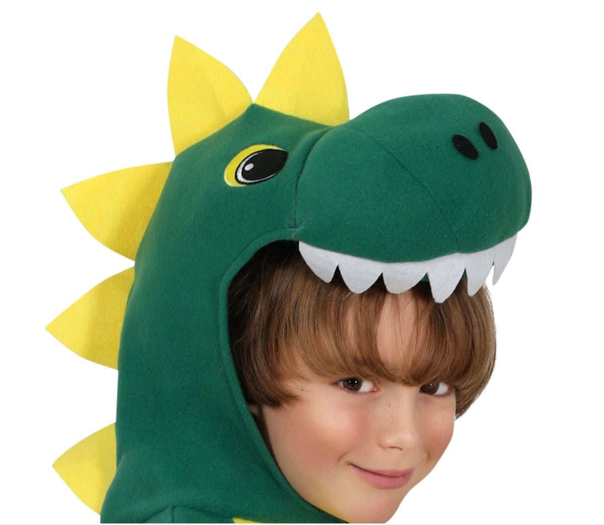 Costume de Dinosaure Vert pour Bambino