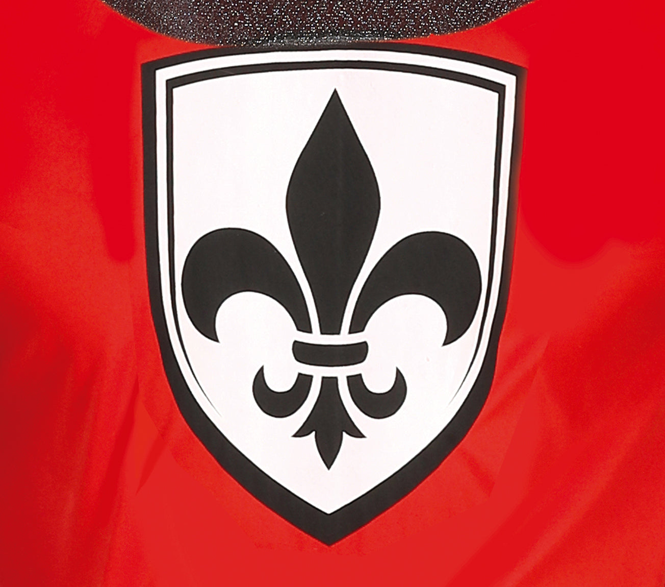 Déguisement de chevalier médiéval pour homme
