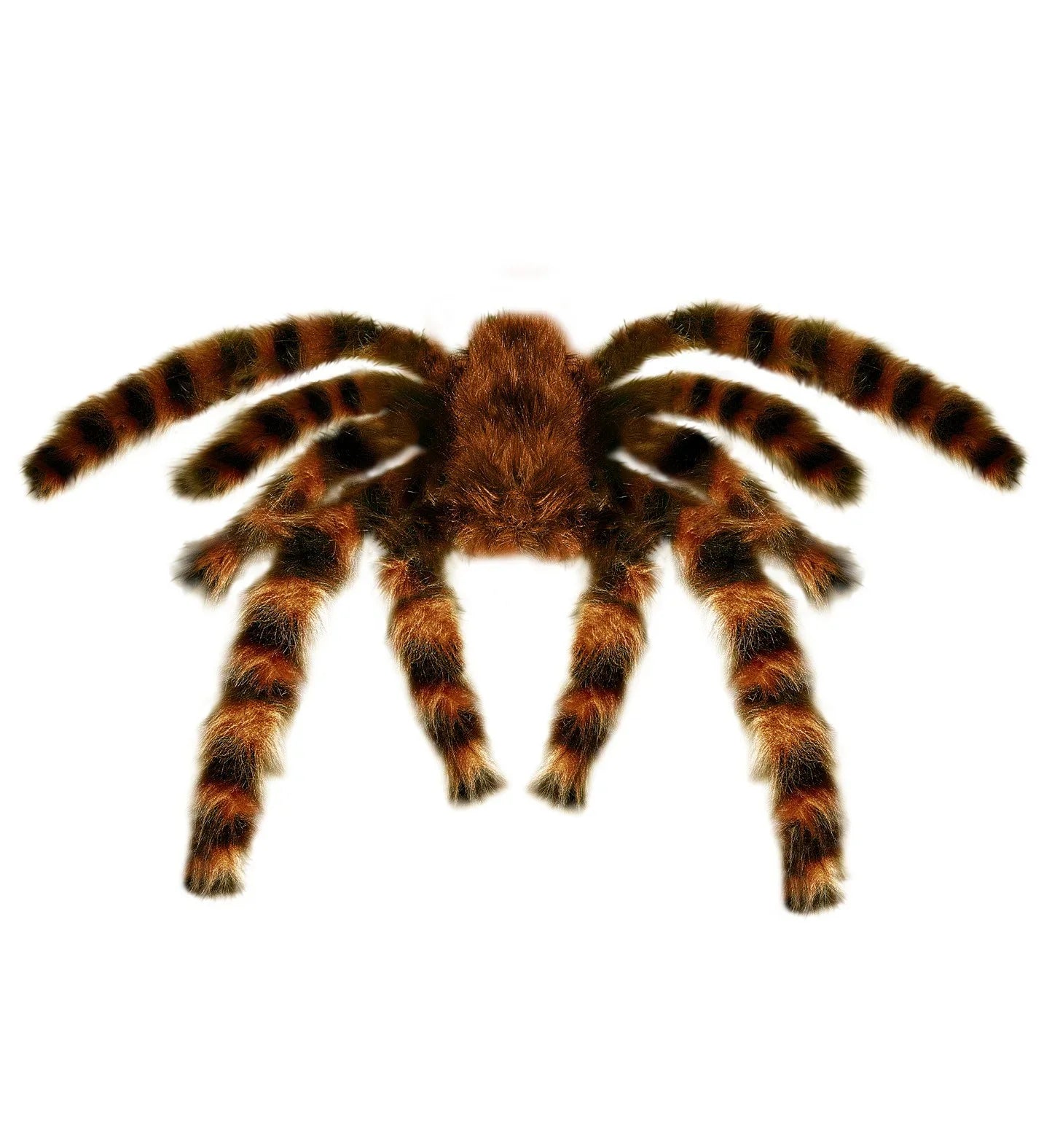 Tarántula Peluda Gigante Decoración Widmann