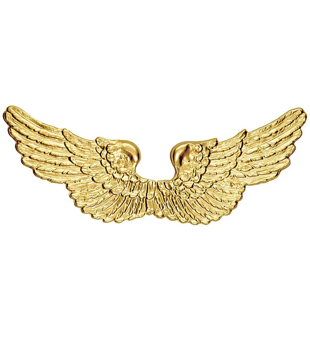 Alas Doradas de Ángel Alas Widmann