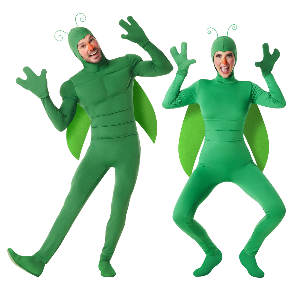 Déguisements de couple abeille et bourdon