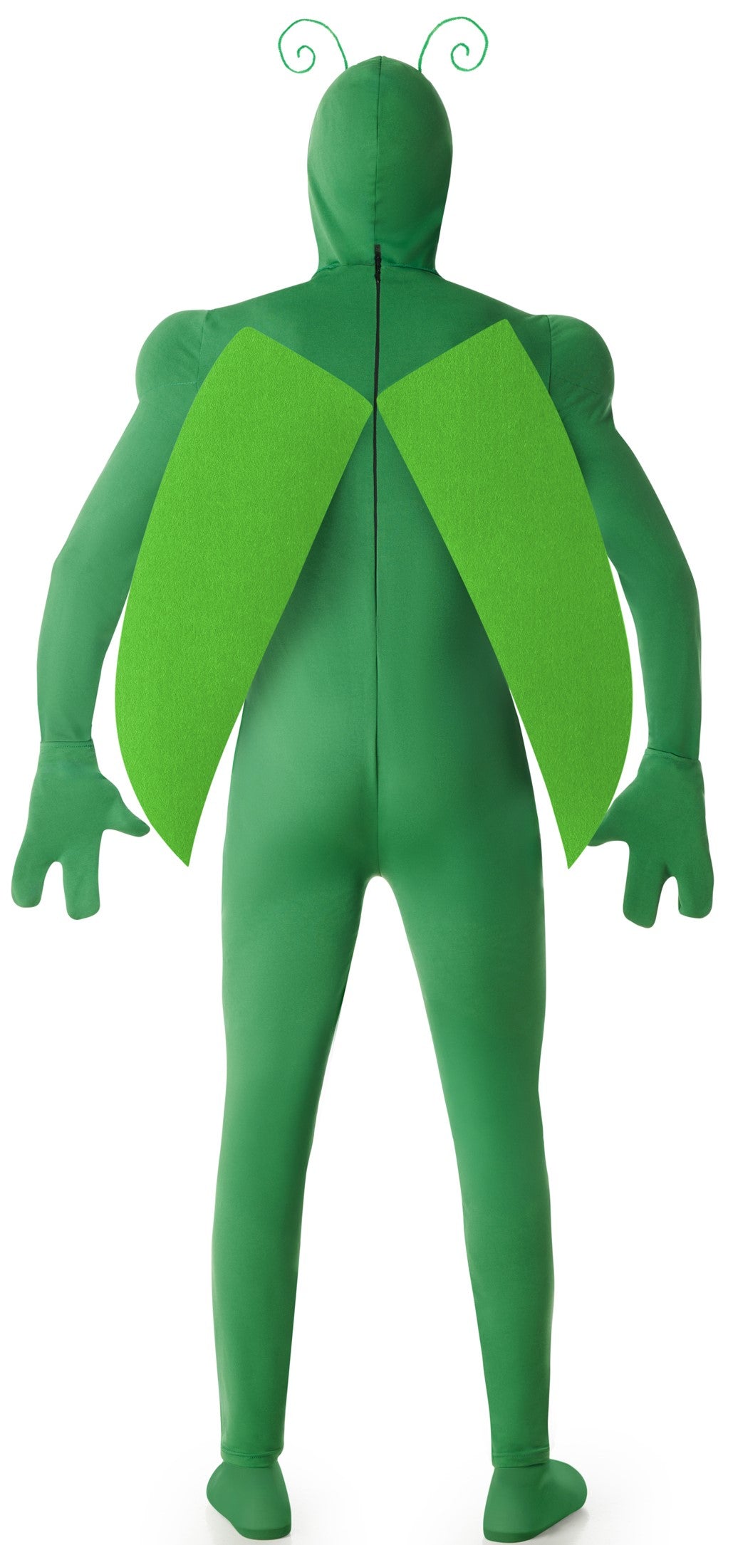 Disfraz de Saltamontes Verde para Hombre Animales Kimokawaii
